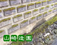 苔（コケ）やカビ・汚れの除去・コンクリート塀のコケ落とし