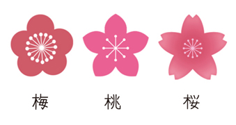 「梅・桃・桜」の花びら　見分け方