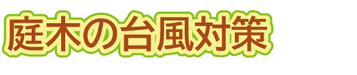 庭木の台風対策（山崎造園・兵庫県宍粟市）