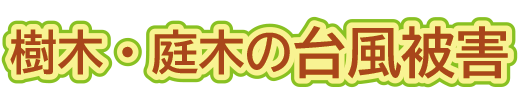 樹木・庭木の台風被害（山崎造園・兵庫県宍粟市）