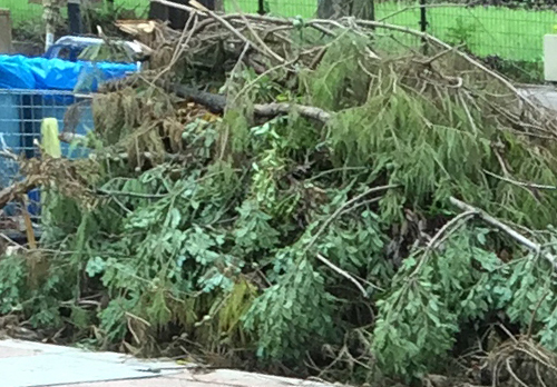 強風・豪雨・台風事後対策