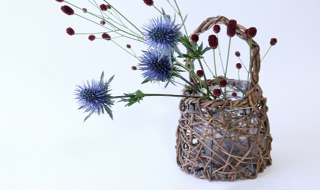 藤(フジ)のツル・剪定・手入れ