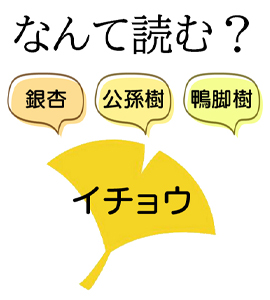 なんて読む？イチョウの漢字表記