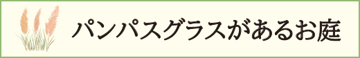 パンパスグラスがある庭づくり