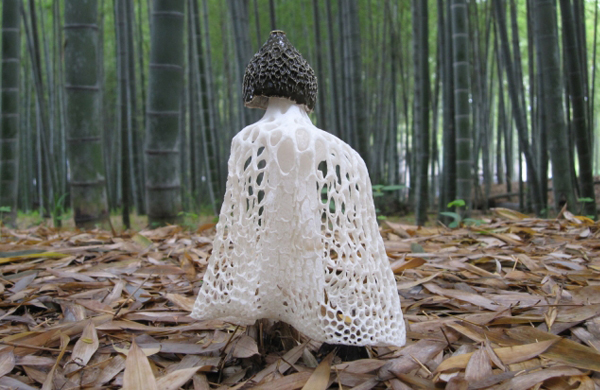 竹林に生えるキヌガサタケ（衣笠茸）