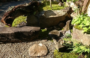 和風店舗の庭・自然な印象の景石